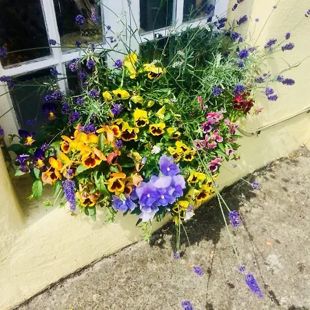 Bed and Breakfast The Tower House