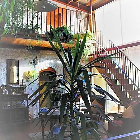 The Tower House فندق مبيت وإفطار 4*