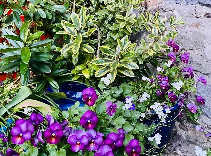 The Tower House 4* Thomastown (Kilkenny)